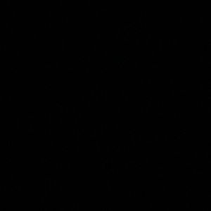 Meet your Posher, Connie